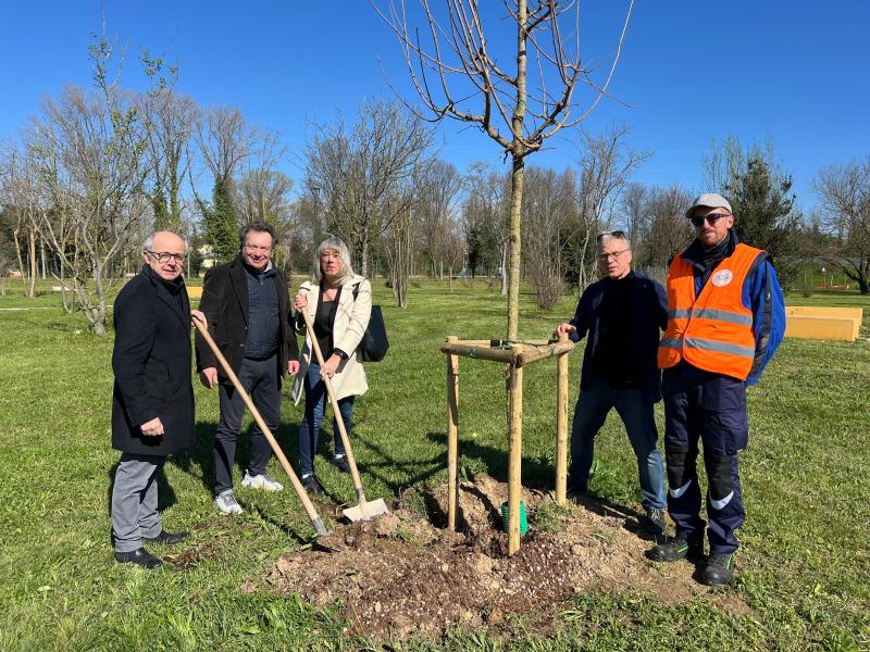 Domenica Ecologica Nuovi Alberi In Tutte Le Municipalit Comune